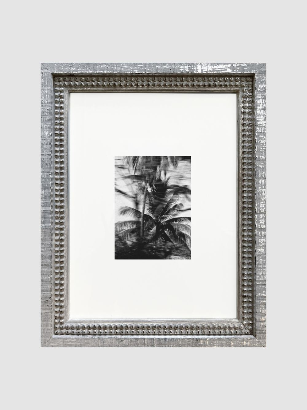 Palmera en movimiento