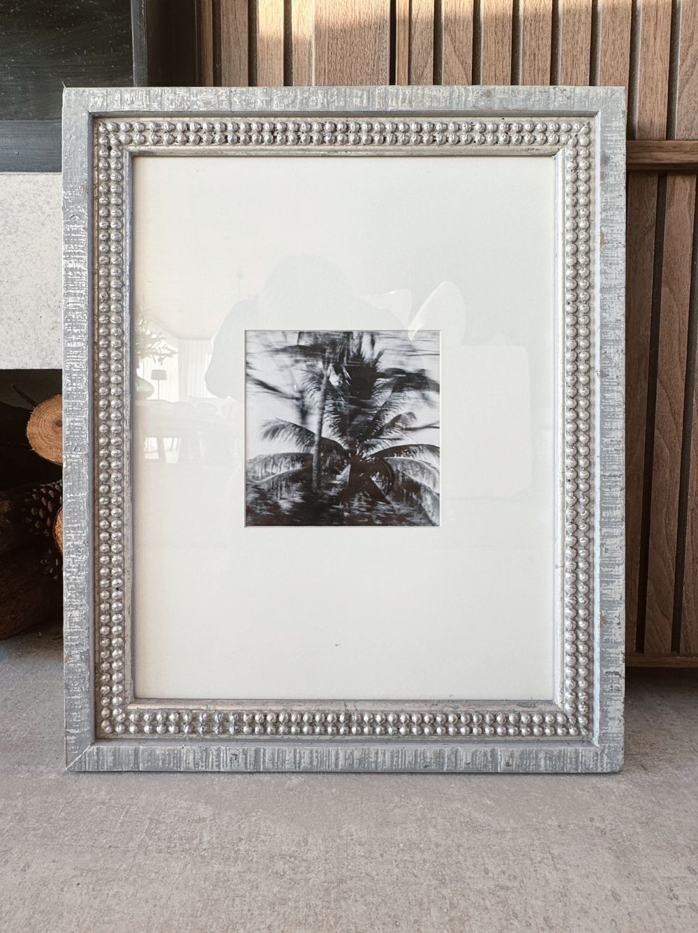 Palmera en movimiento