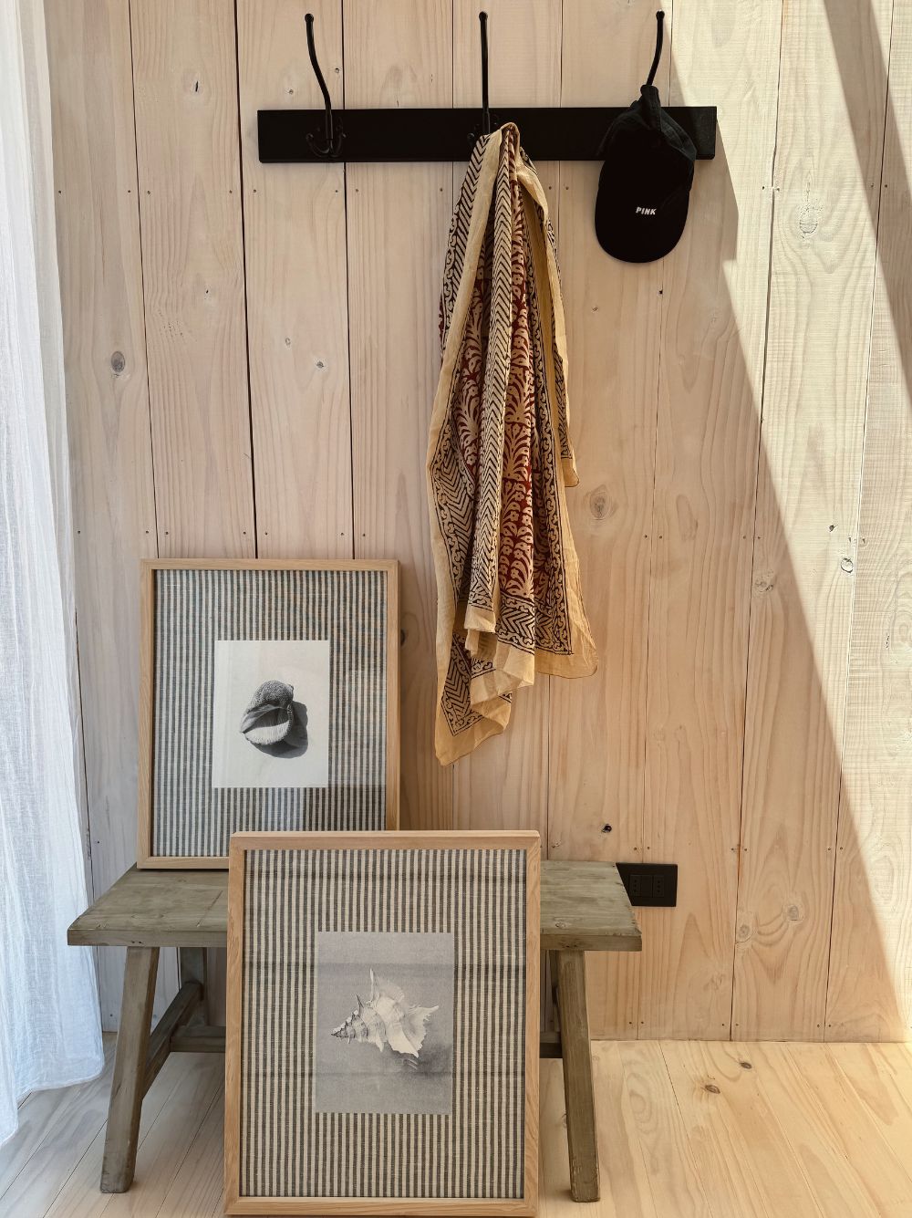 Concha redonda género