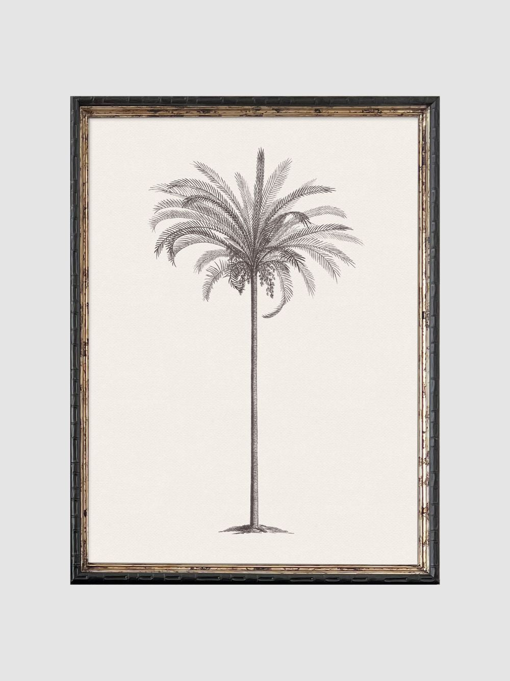 Dibujo de Palmera