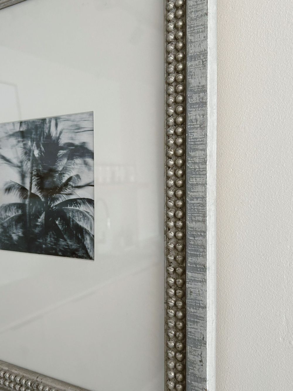 Palmera en movimiento