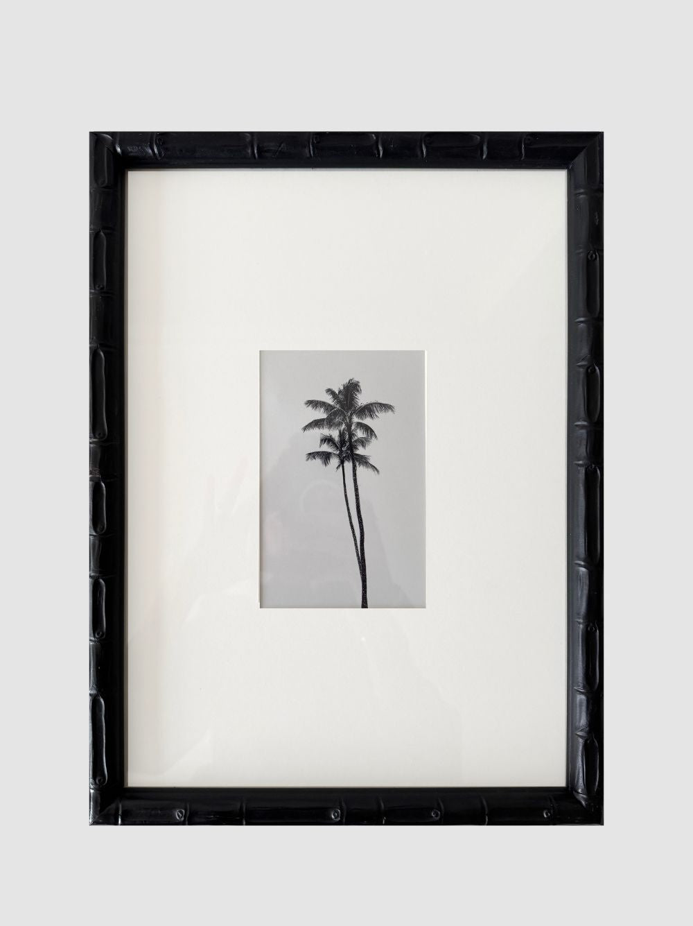 Una Palmera