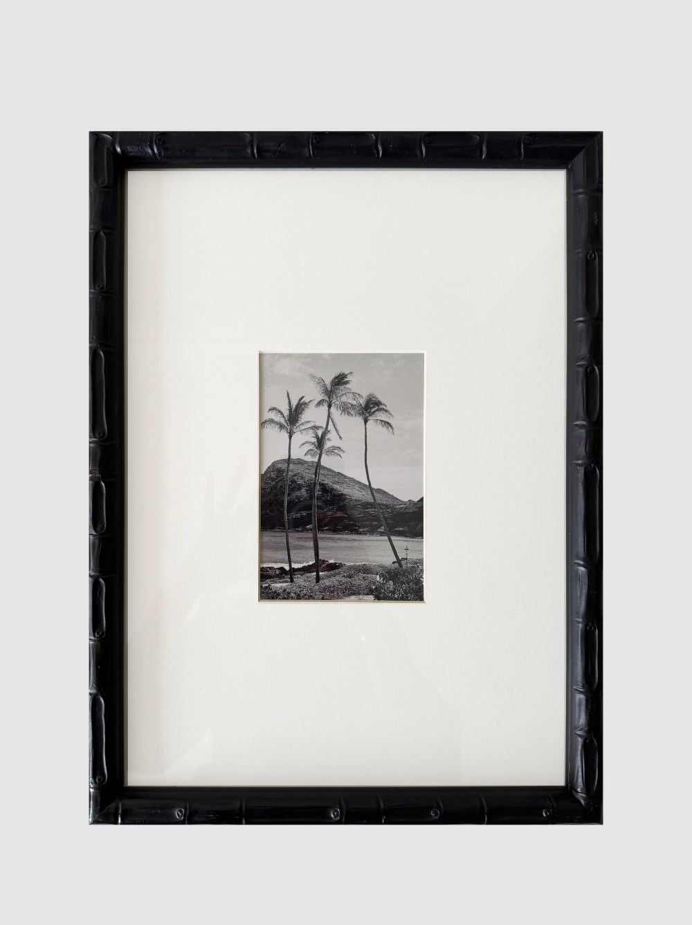 Palmeras playa