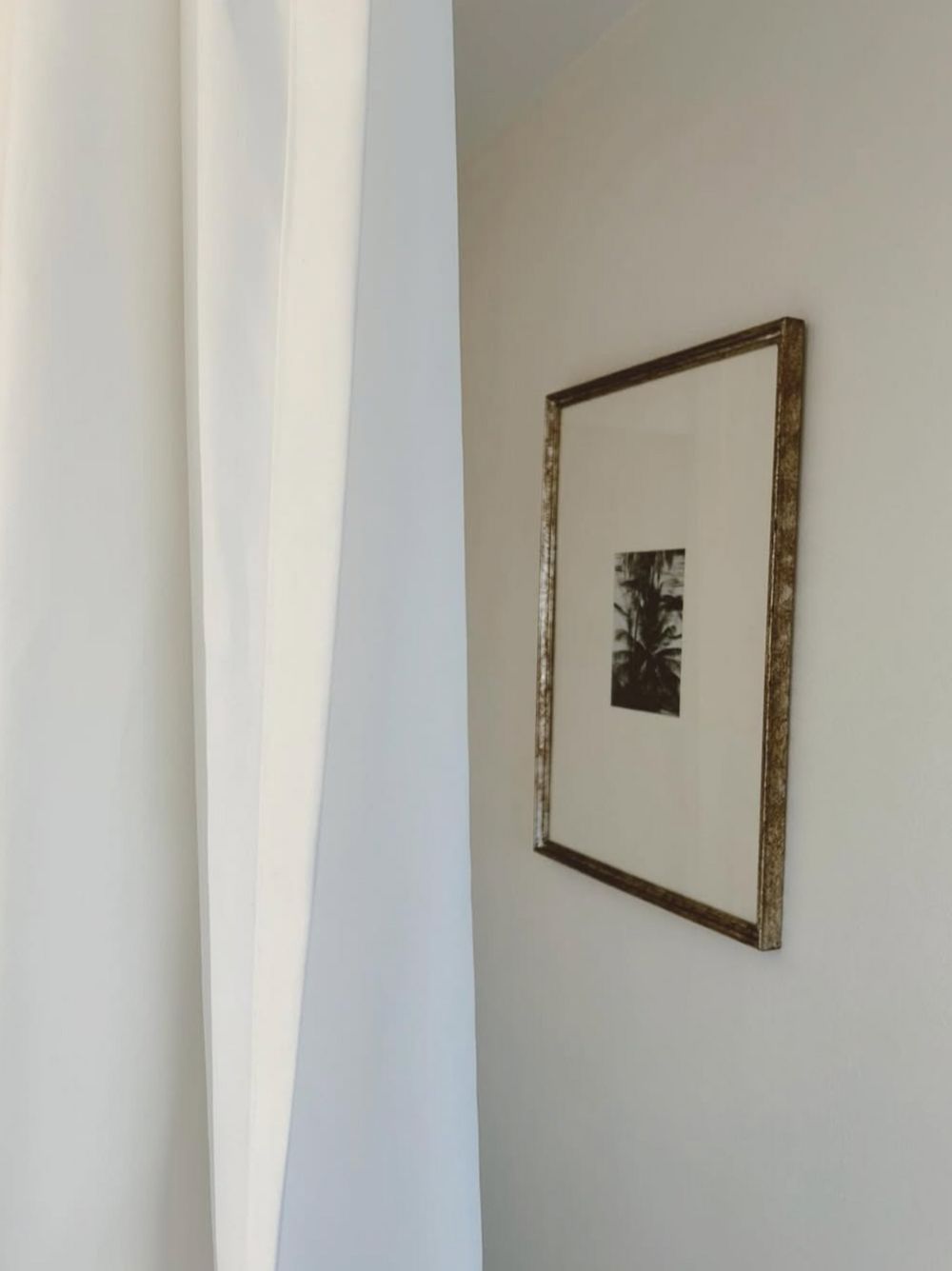 Palmera en movimiento